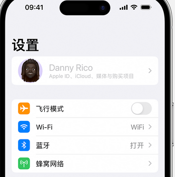 平罗appleID维修服务iPhone设置中Apple ID显示为灰色无法使用 