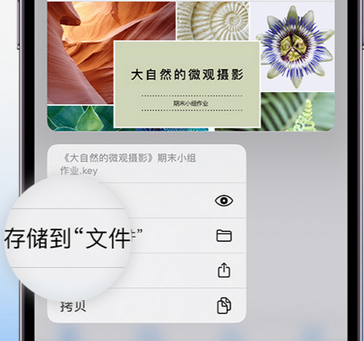 平罗apple维修中心分享iPhone文件应用中存储和找到下载文件