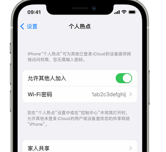 平罗apple服务站点分享iPhone上个人热点丢失了怎么办