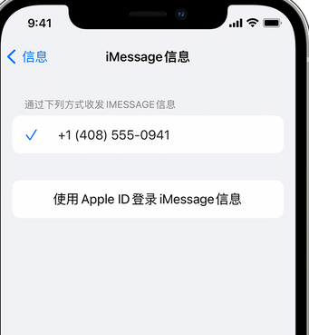 平罗apple维修iPhone上无法正常发送iMessage信息 