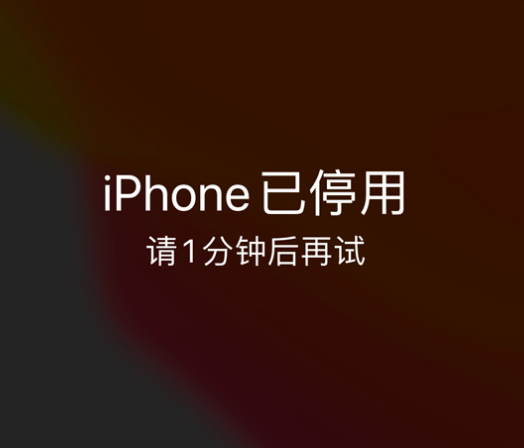 平罗苹果手机维修分享:iPhone 显示“不可用”或“已停用”怎么办？还能保留数据吗？ 