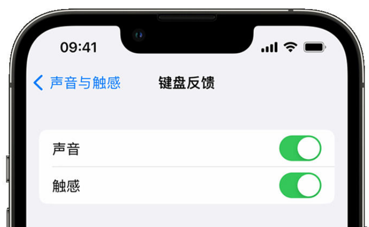 平罗苹果手机维修分享iPhone 14触感键盘使用方法 