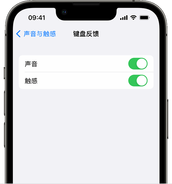 平罗苹果14维修店分享如何在 iPhone 14 机型中使用触感键盘 