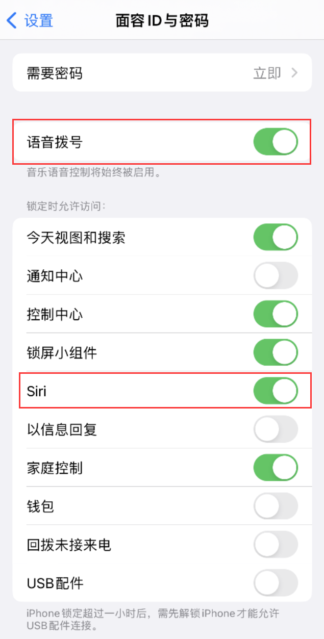 平罗苹果维修网点分享不解锁 iPhone 的情况下通过 Siri 拨打电话的方法 