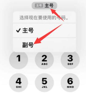 平罗苹果14维修店分享iPhone 14 Pro Max使用副卡打电话的方法 