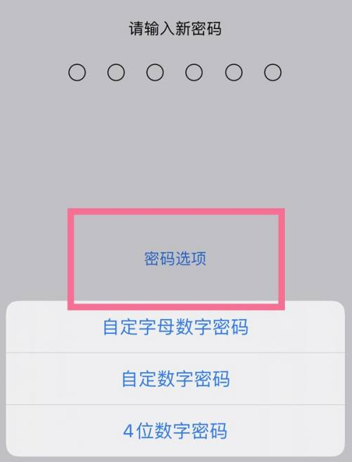 平罗苹果14维修分享iPhone 14plus设置密码的方法 