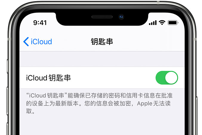 平罗苹果手机维修分享在 iPhone 上开启 iCloud 钥匙串之后会储存哪些信息 