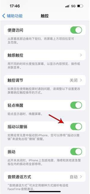 平罗苹果手机维修分享iPhone手机如何设置摇一摇删除文字 